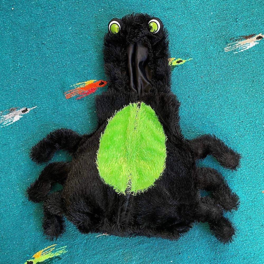 Black and Green 9 Mos Baby Costume